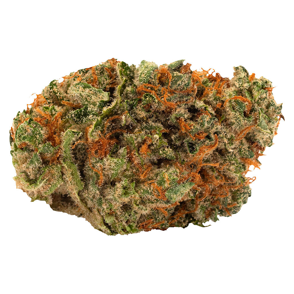 Slow Lane Indica