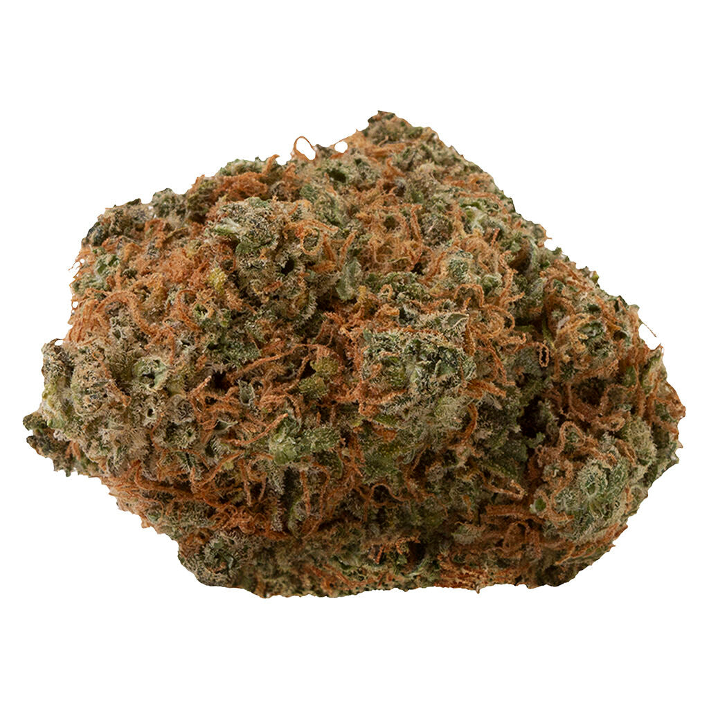 Fast Lane Sativa - 