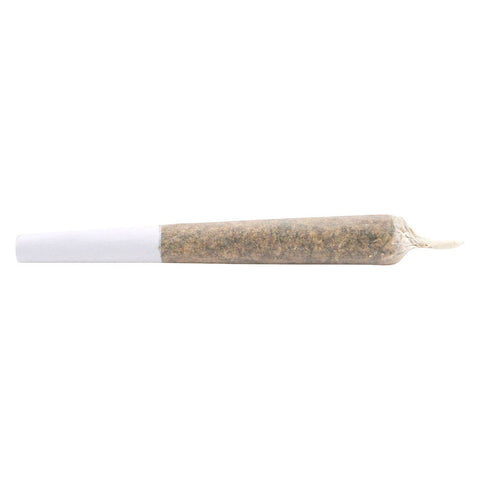 Photo Purple Slurricane Bubble Hash Infused Pre-Rolled Joints