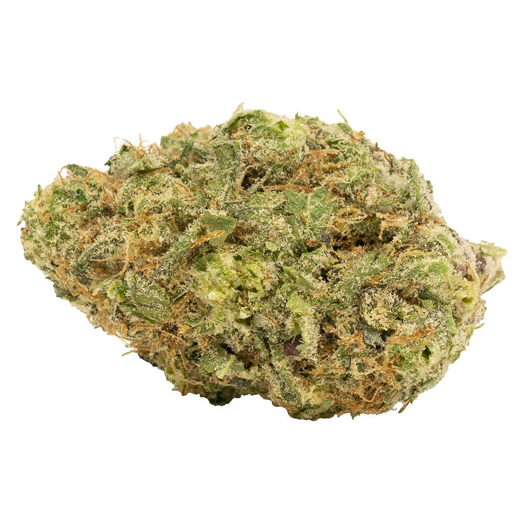 Cactus Funk Breath - 