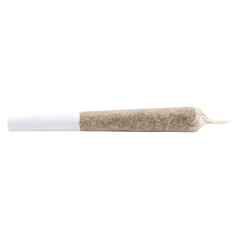 Water Hash Infused Pre-Roll Sativa Photo