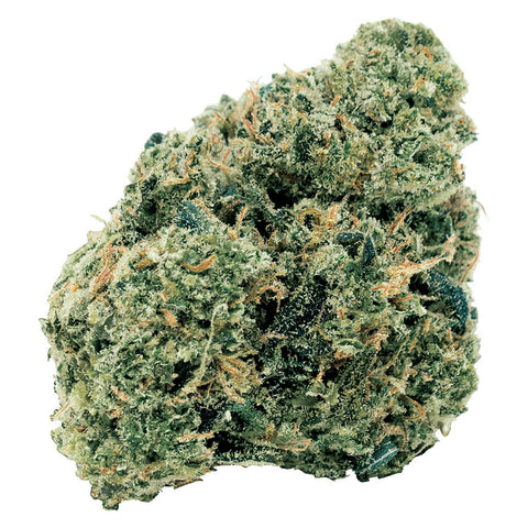 Photo Northern OG Kush