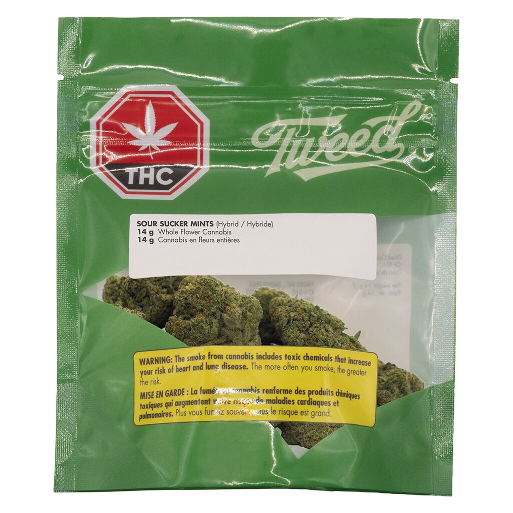Sour Sucker Mints - 