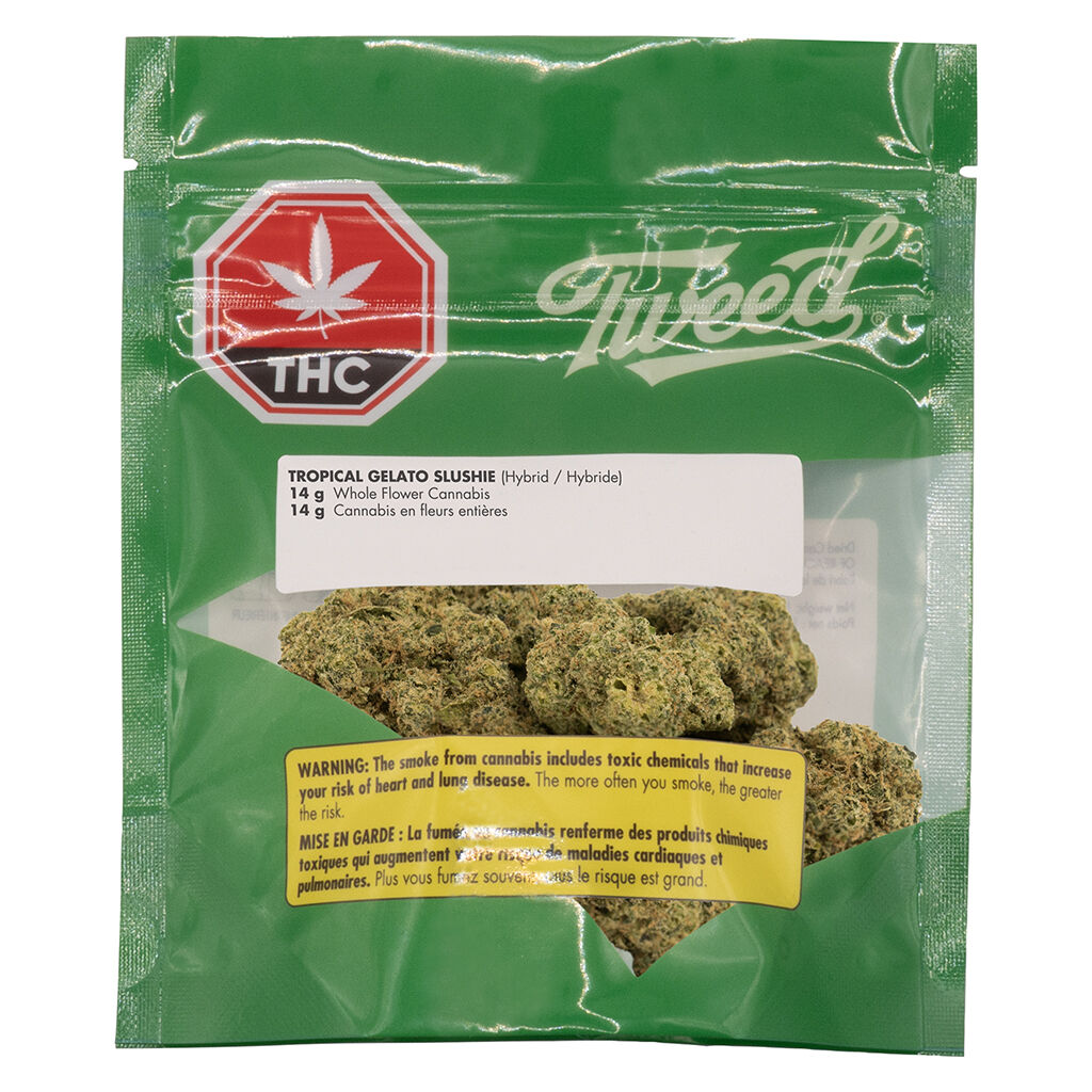 Tropical Gelato Slushie - 