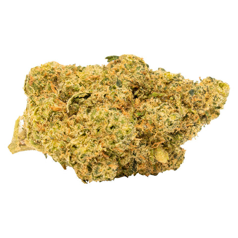 Photo Tropical Gelato Slushie