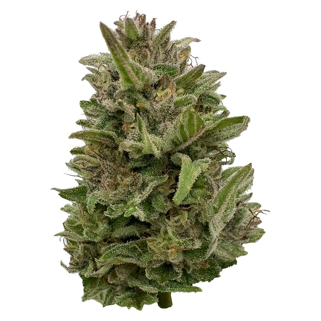 Pretty Chill Indica - 