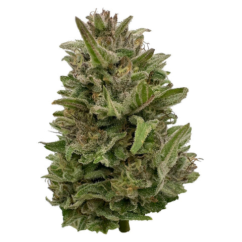 Photo Pretty Chill Indica