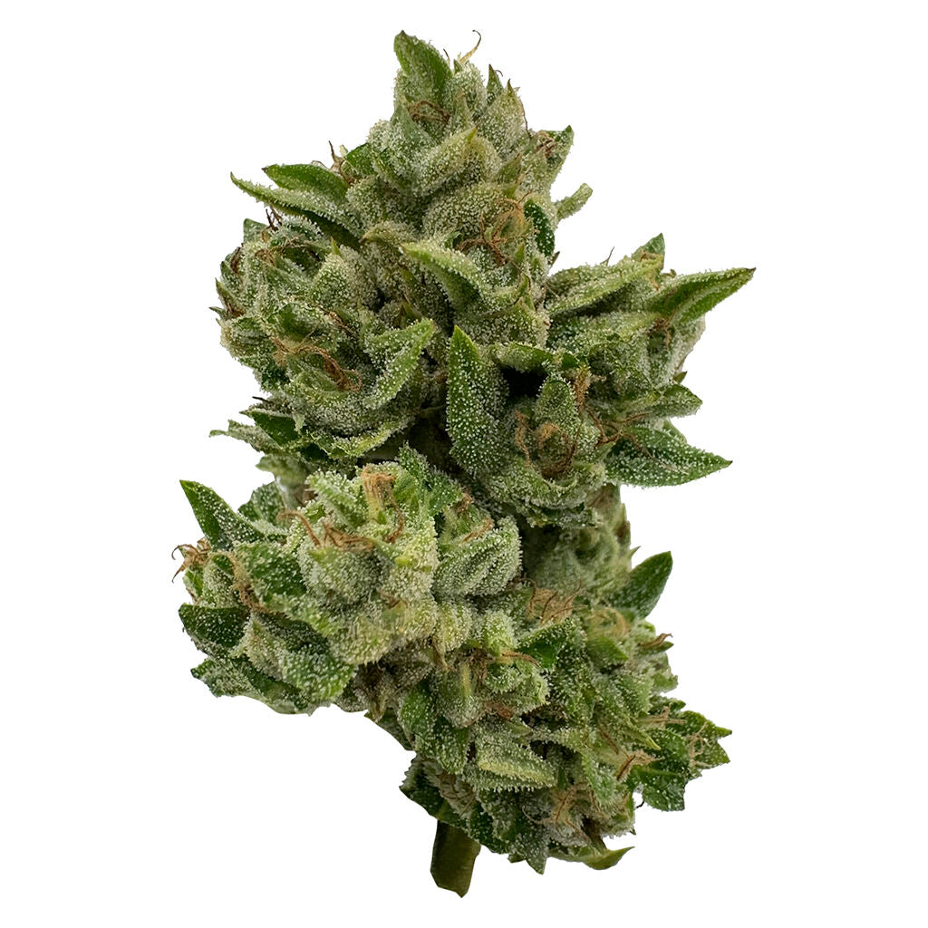Pretty Sweet Sativa