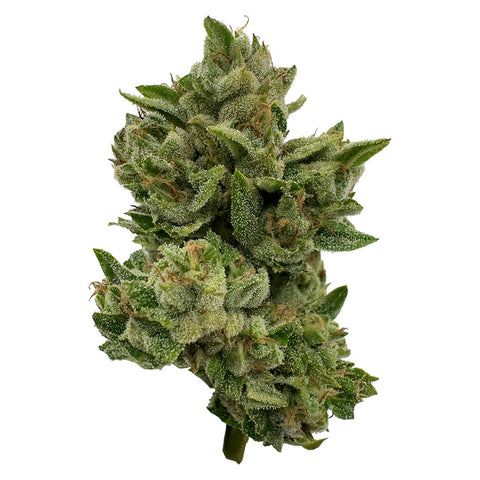 Photo Pretty Sweet Sativa