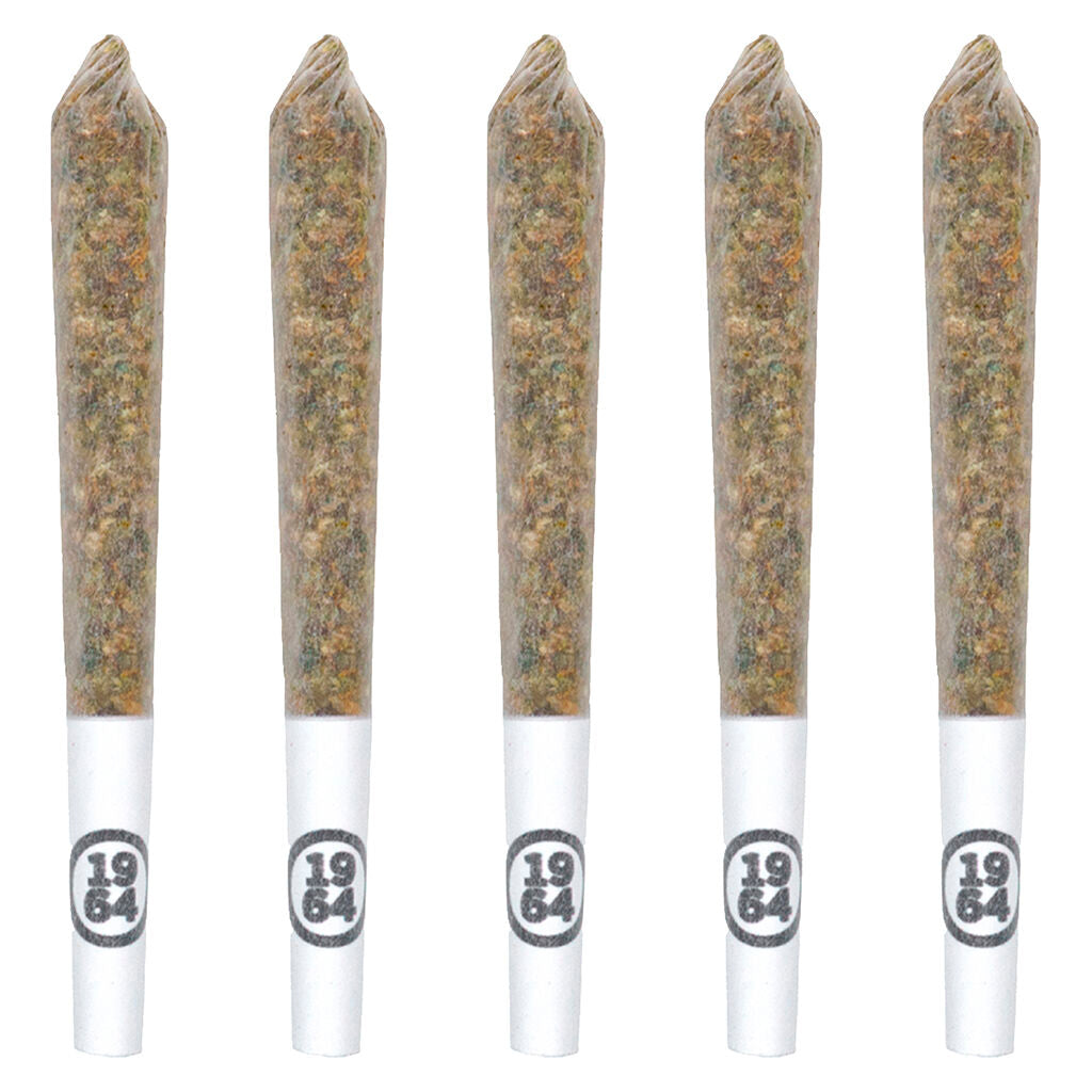 Comatose Pre-Roll