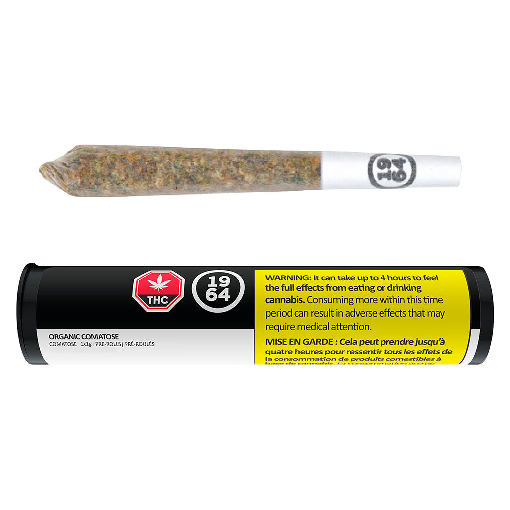 Comatose Pre-Roll