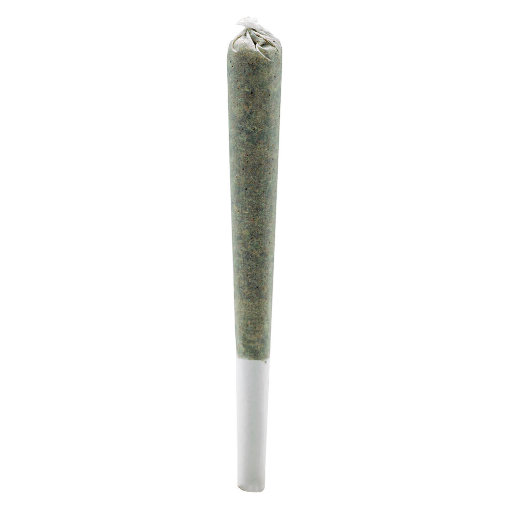 Rosin Roll Infused Pre-Roll - 