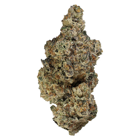 Bandwagon Indica Photo
