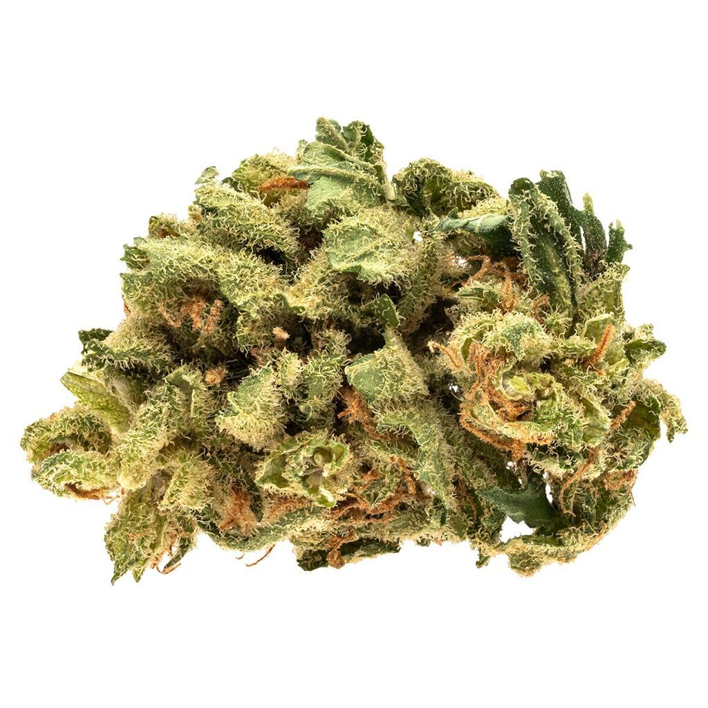 Starwalker Kush - 