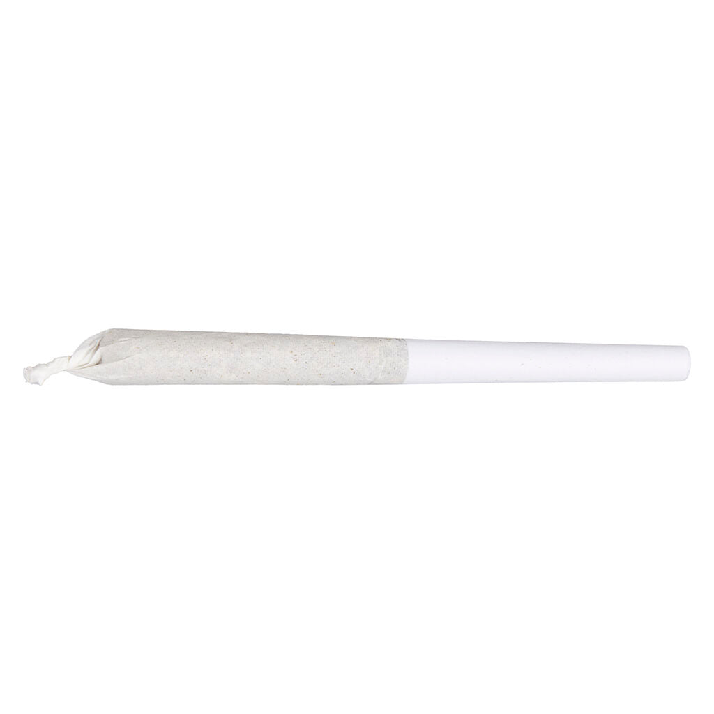 Jean Guy Pre-Roll - 