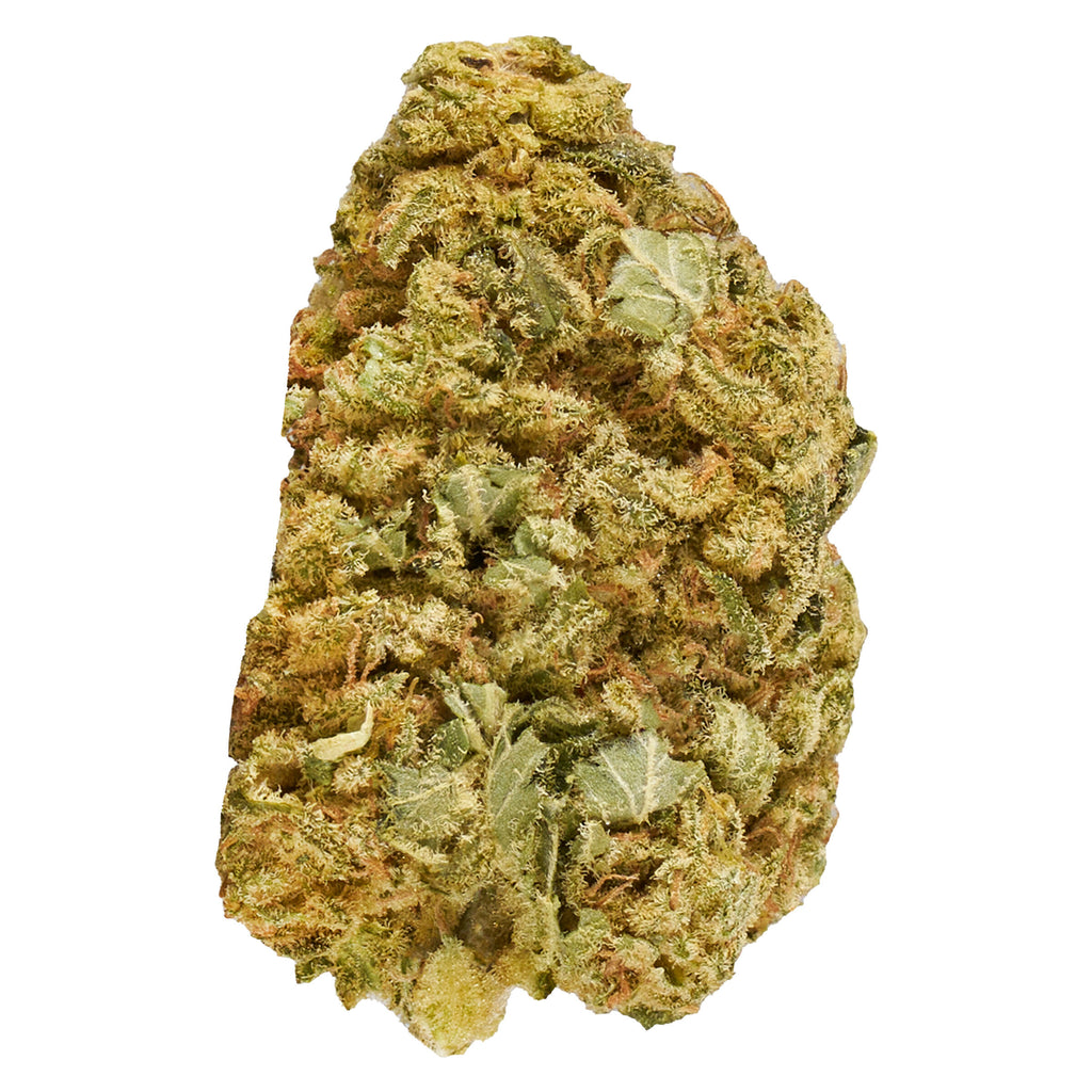 Master Mazar Kush - 