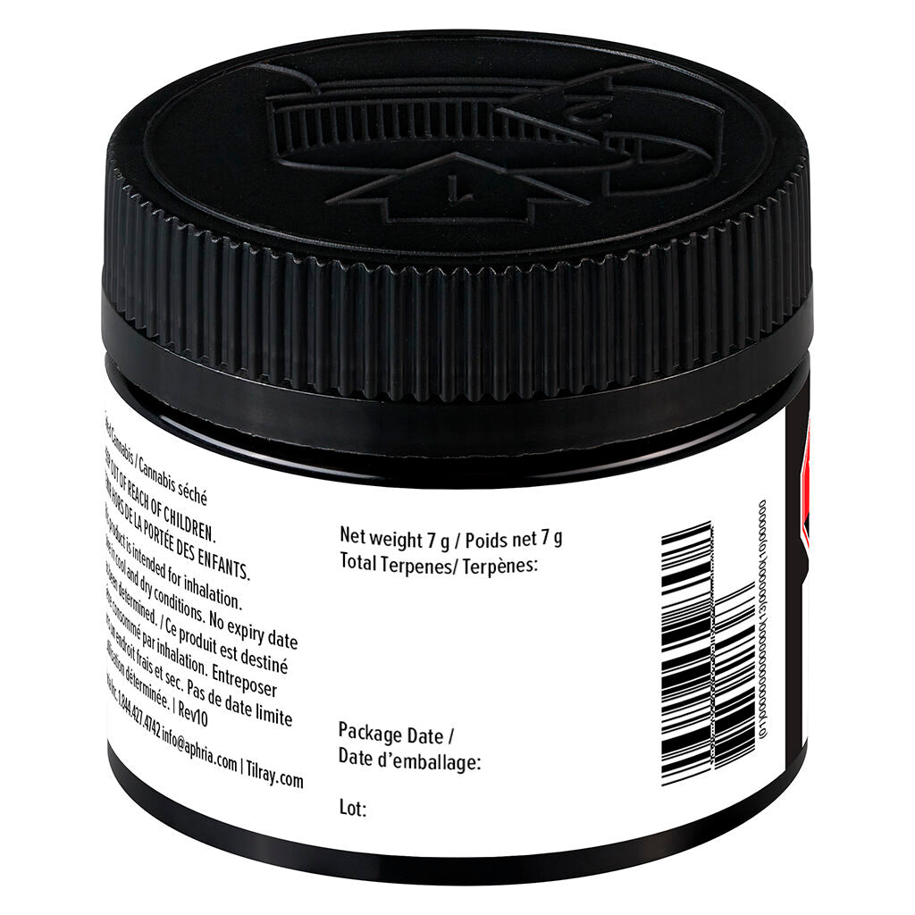 Purple Churro Grind - 