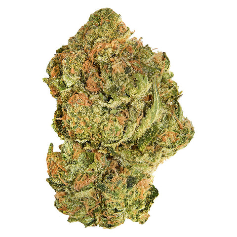 Photo Brand New Buds