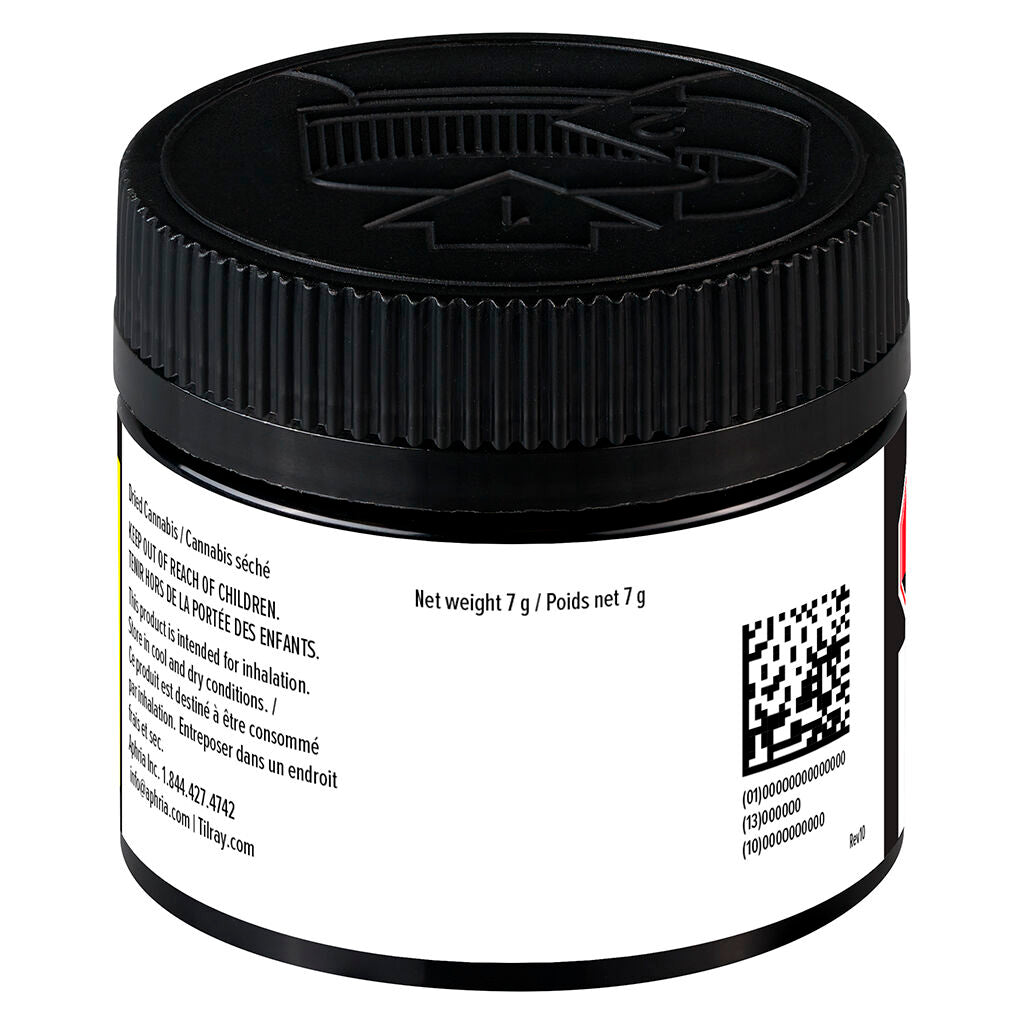 Blueberry DNTs Grind - 