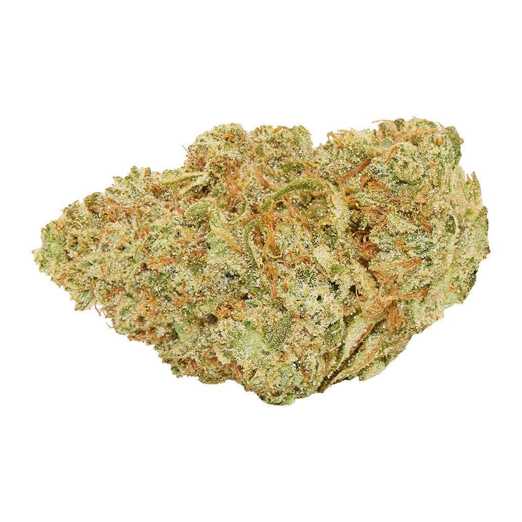 Winter Kush