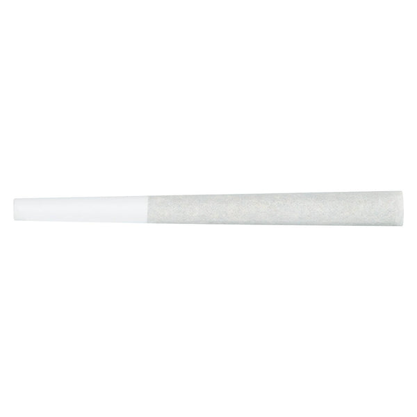 Neon Lotus Pre-Roll