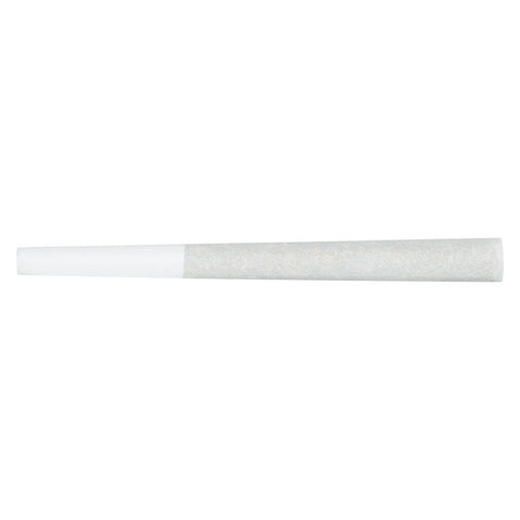 Photo Neon Lotus Pre-Roll
