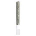 Michigan Melonz Glass Tip Pre-Roll