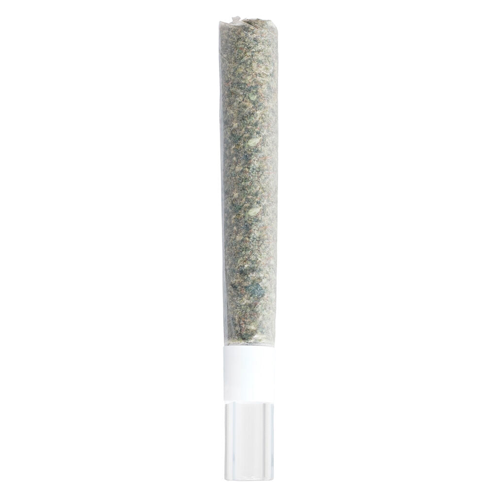 Michigan Melonz Glass Tip Pre-Roll