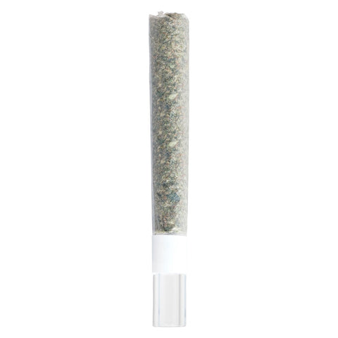 Photo Michigan Melonz Glass Tip Pre-Roll