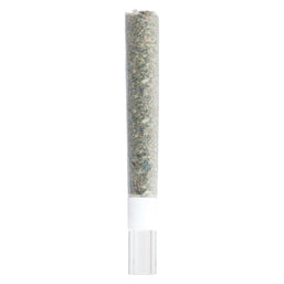 Photo Michigan Melonz Glass Tip Pre-Roll