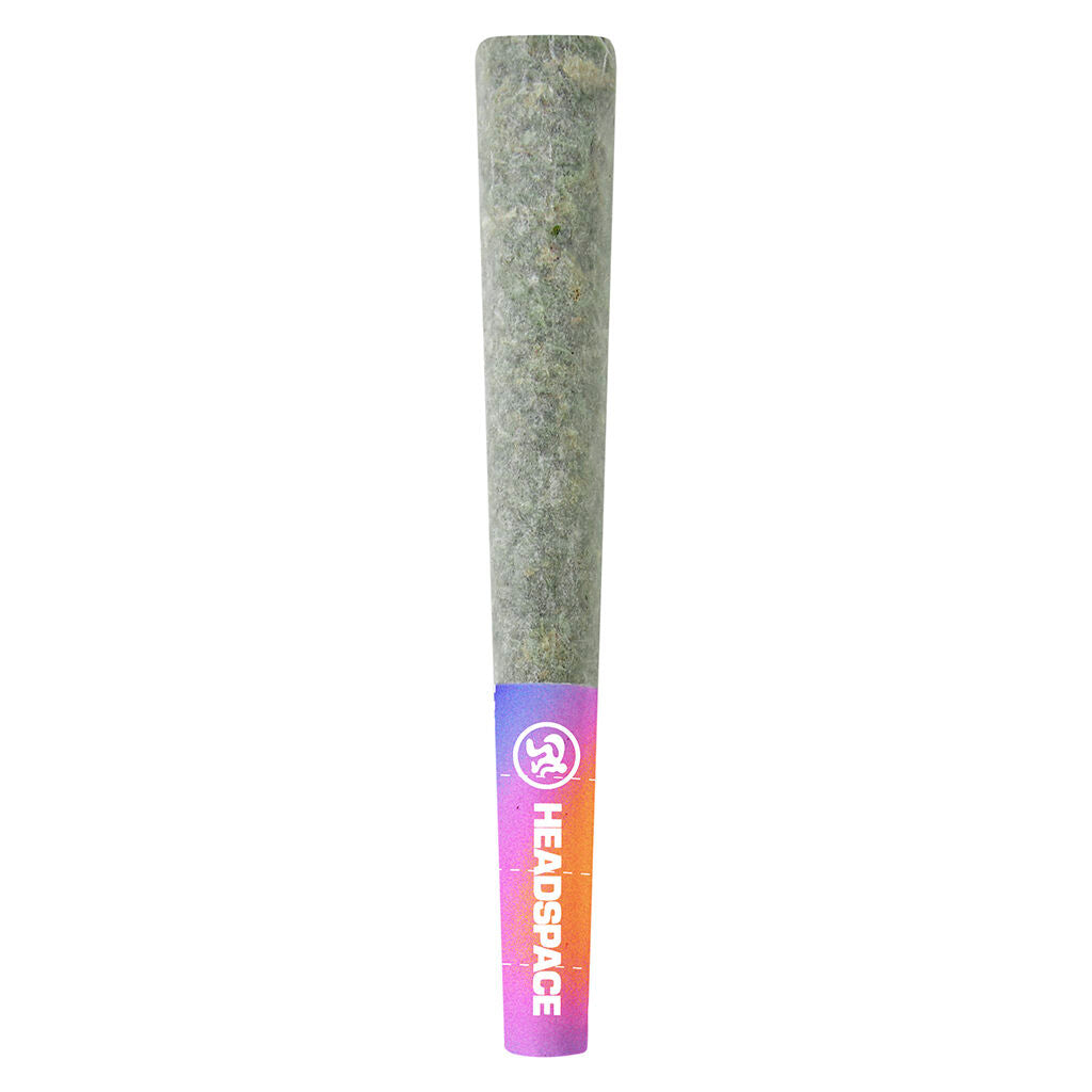 Garlic Fumez Pre-Roll - 