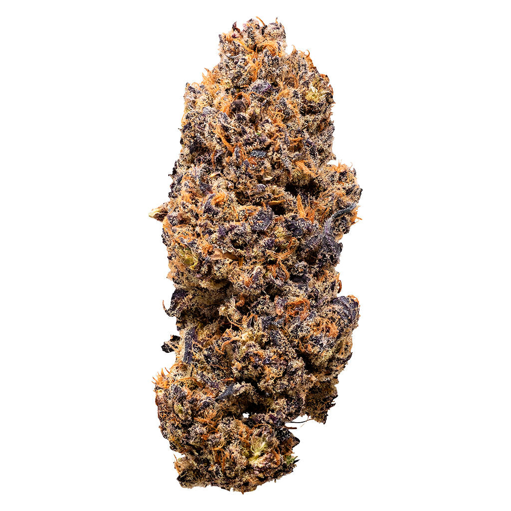 Lemon Whips Dried Flower - 