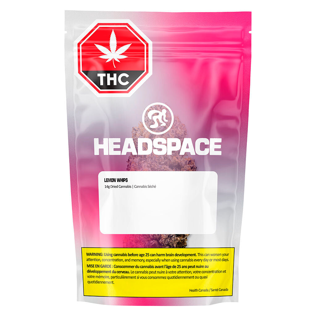 Lemon Whips Dried Flower - 