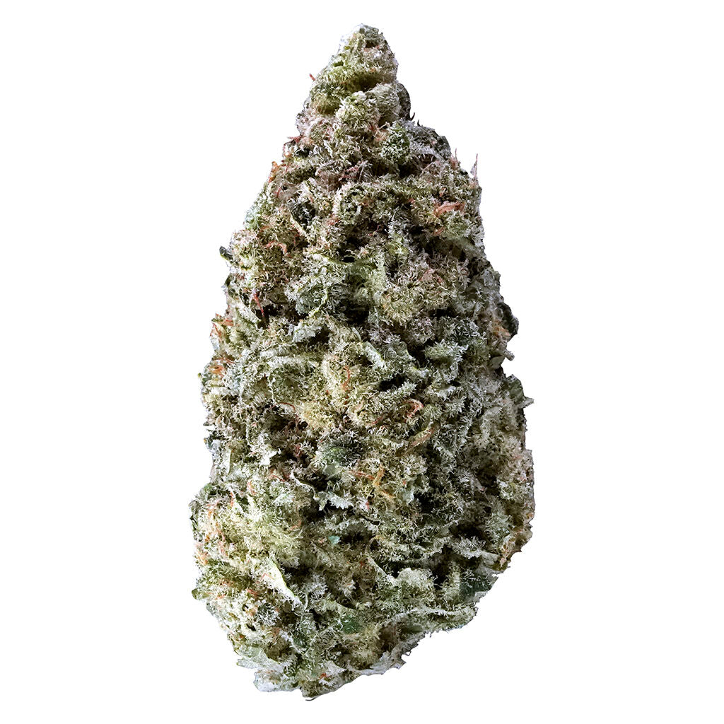 Sky Pilot - 