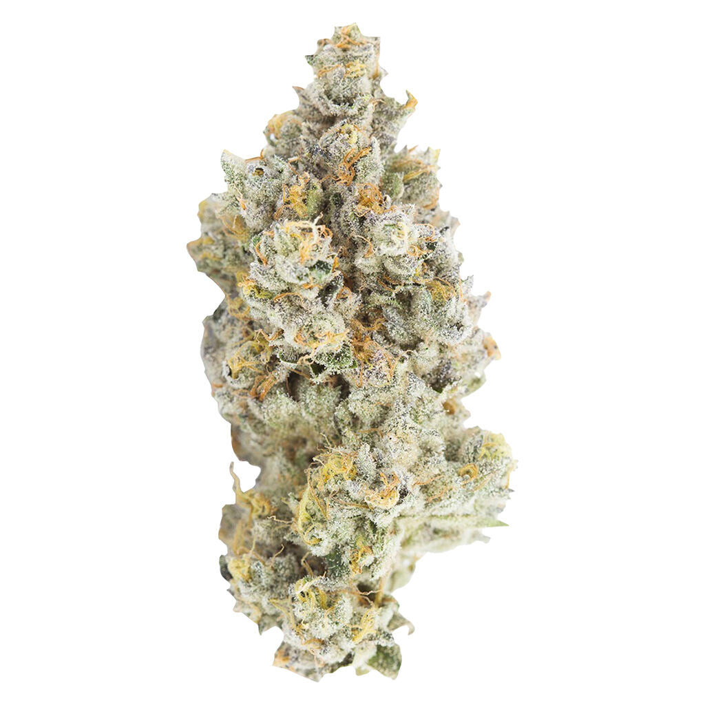 Sativa