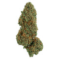 Diesel Cake