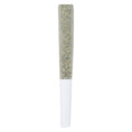 Black Truffle Pre-Roll