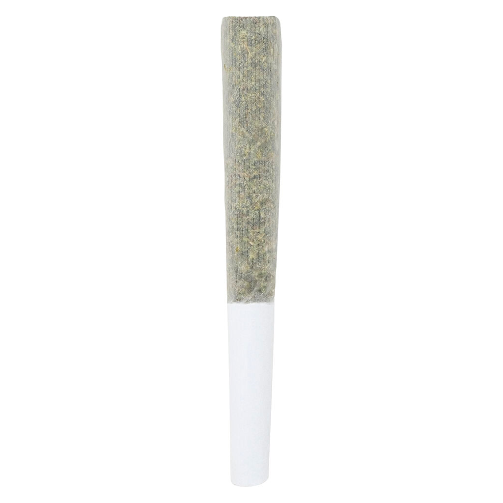 Black Cheese Pre-Roll - 