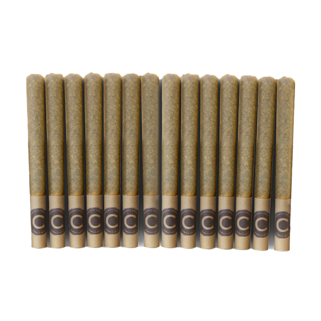 Gasoline Alley Pre-Roll - 