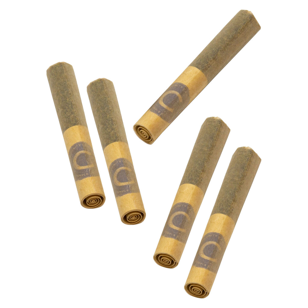 Fivers Pre-Roll - 