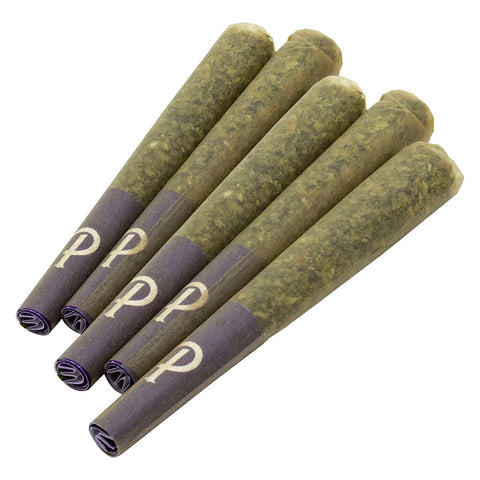 Photo Tropical Cooler Pre-Rolls