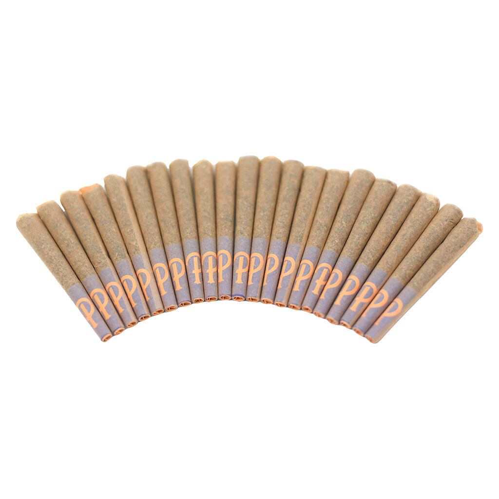 Gelato 41 Pre-Roll - 