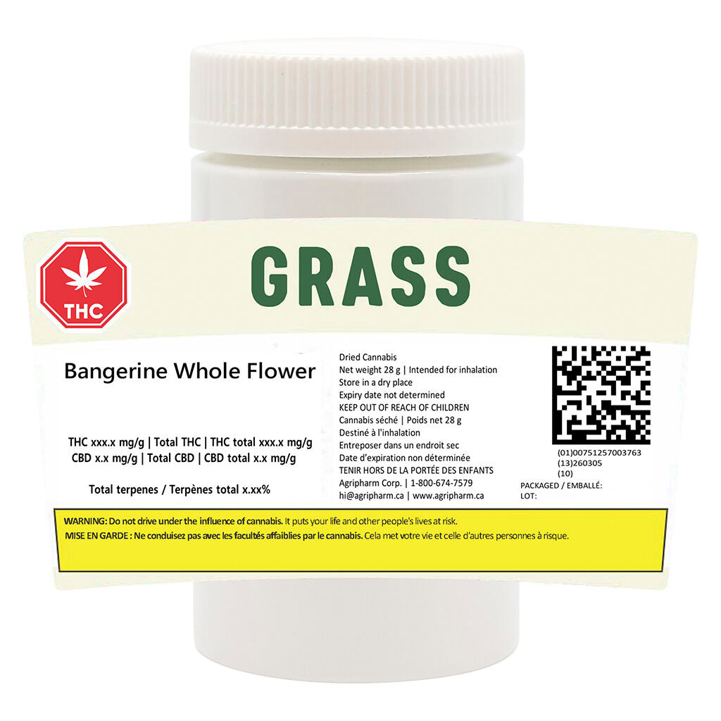 Bangerine - 