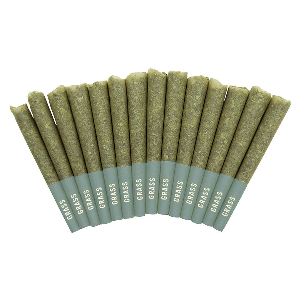 Grandaddy Purple Pre-Roll