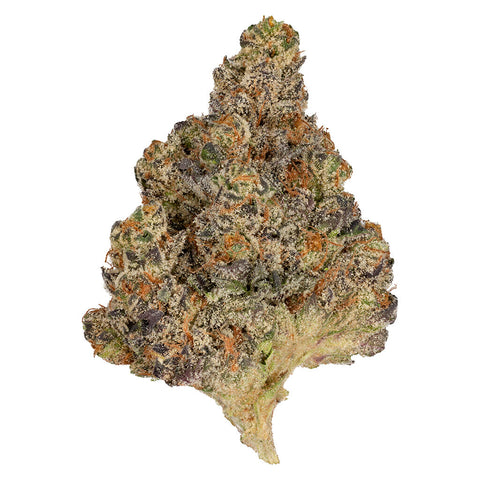 PAYDAY Photo
