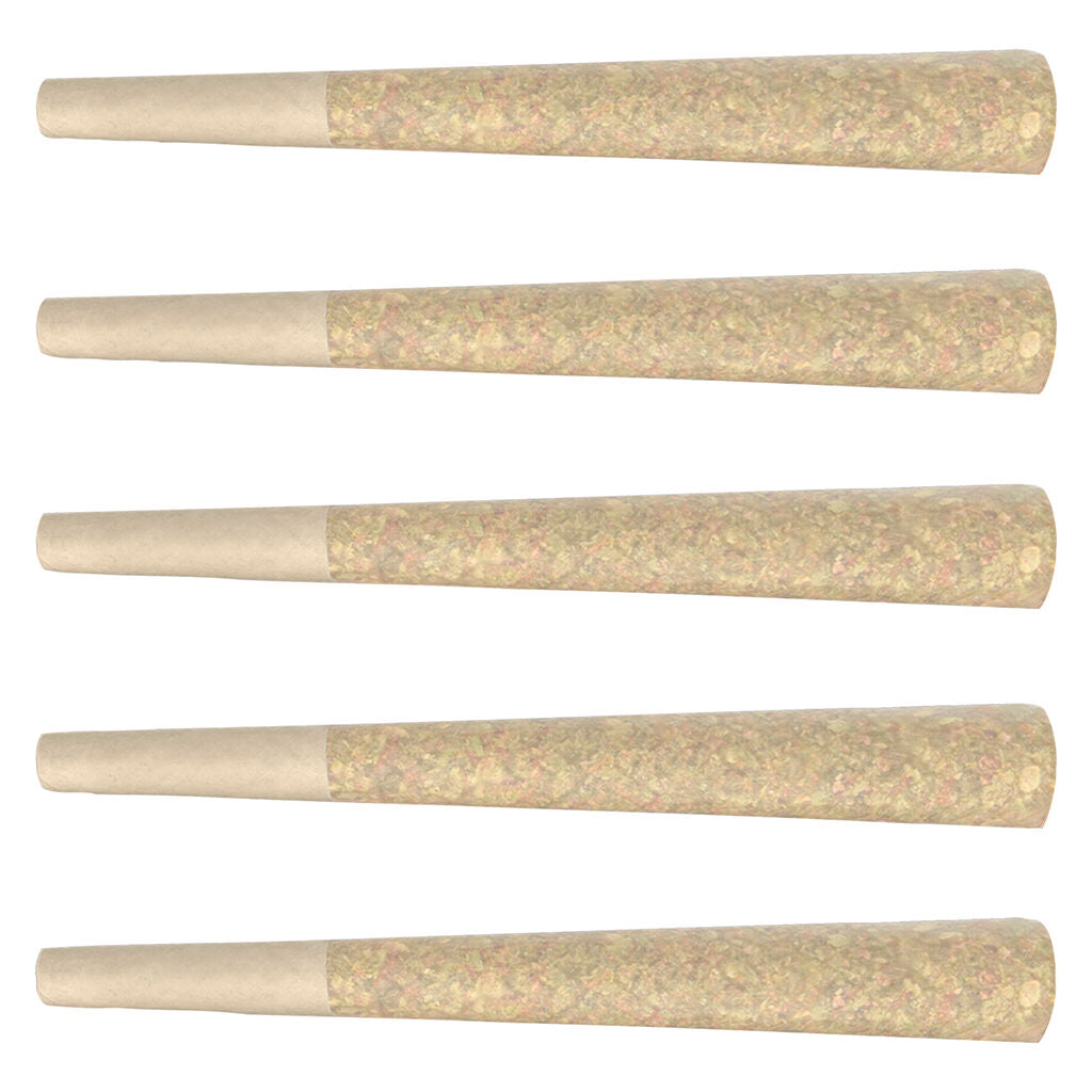 PAYDAY Pre-Roll - 