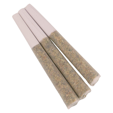 Photo Ghost Banner Pre-Roll