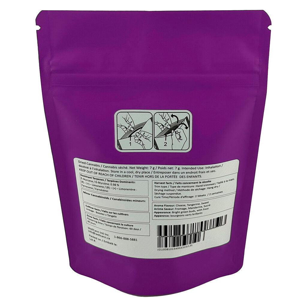 Plan't of the Ganja - 