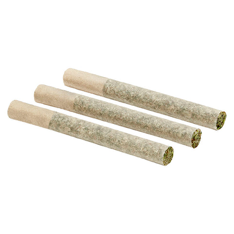 Photo Rainbow Marker Pre-Roll