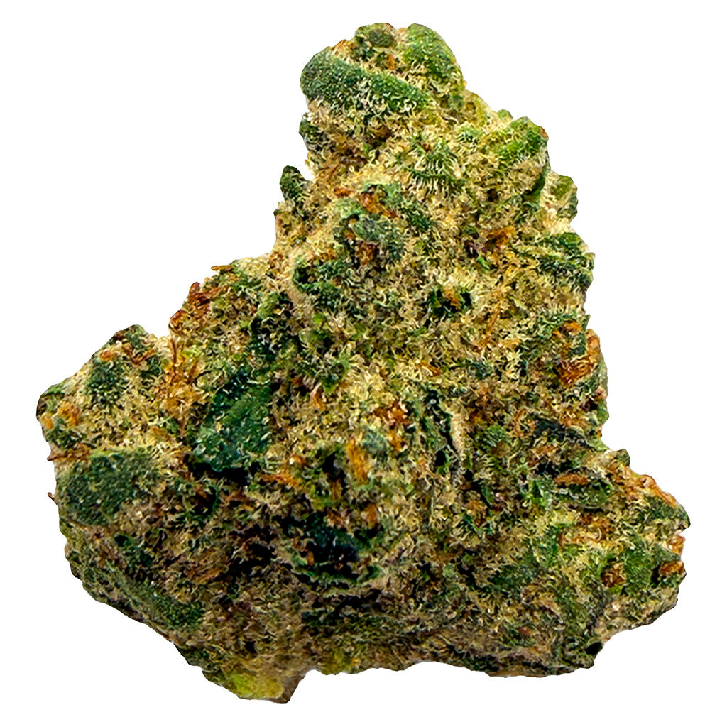 Northern Lights - 